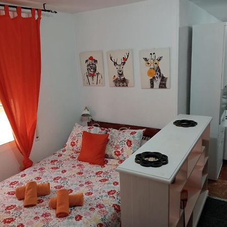 Appartement Apartamento Con Encanto 'Larios Studio' à Málaga Extérieur photo