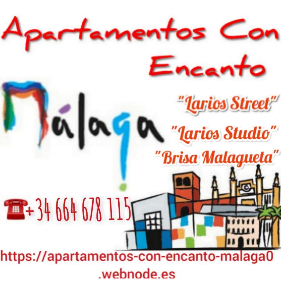 Appartement Apartamento Con Encanto 'Larios Studio' à Málaga Extérieur photo